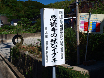 CuLQ