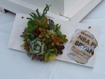���Ă����锫�A��
