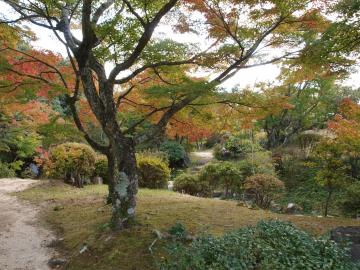�ї����뉀�@�c���u�L�̉�