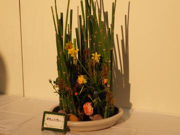 �t�����[�f�U�C���R���e�X�g�@�t�����[�o�����^�C��