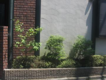 F@荞