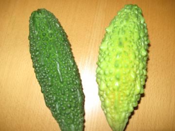 ްԹޯāI