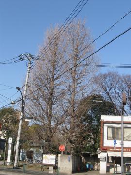 C`E~`Q