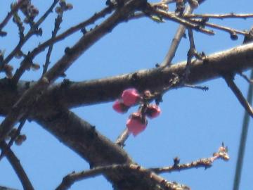niڂ݂Q