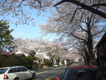 04041