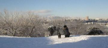 yuki2012123