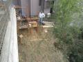0310deck