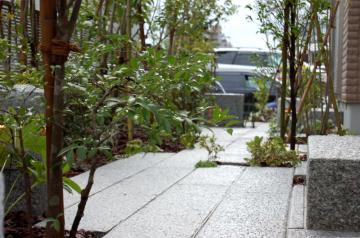 ���_���Ȓ�