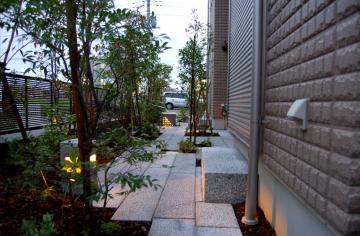 ���_���Ȓ�