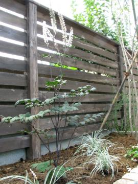 �L�~�L�t�K