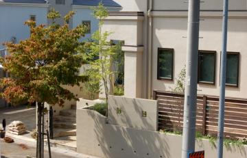 �G�N�X�e���A