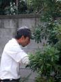 蒆