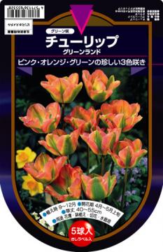 RF炫`[bv@O[h