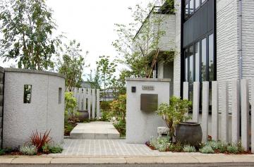 �G�N�X���A