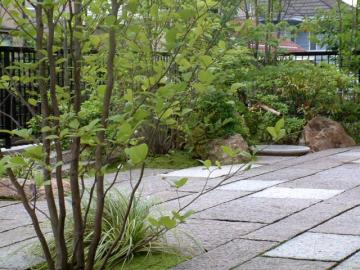 �e���X�K�[�f��