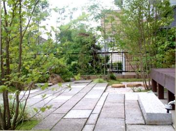 �e���X�K�[�f��