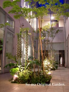 ����@�e���X