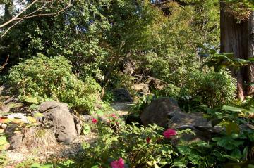 �����̒�