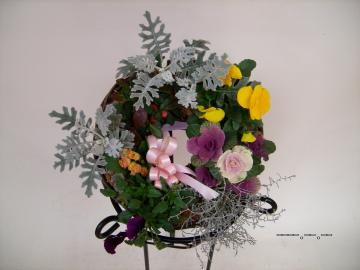 ���[�X�̊񂹐A��