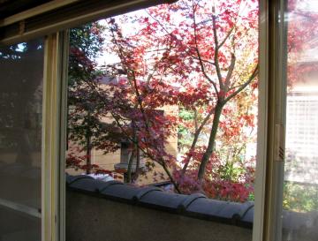 ���}���~�W