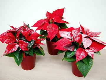 �|�C���Z�`�A�@�����f�R���[�V����