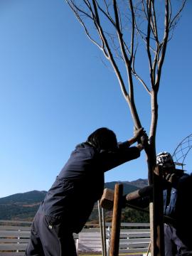 ������P���L