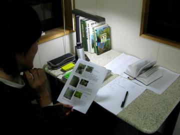 ���؎���