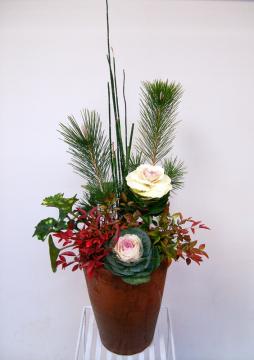 �������̊񂹐A��