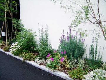 ���i���A�v���v���A�@�u���[�@��