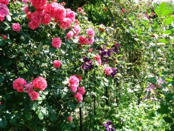 �푍�s�@�I�[�v���K�[�f��