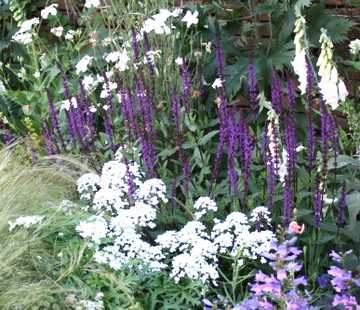 �T���r�A�@�J���h���i�@��