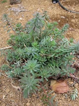 ���i���A