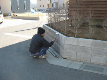 �����t��