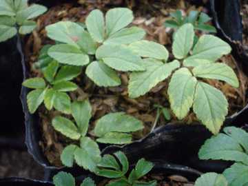 ������C���~�c�o