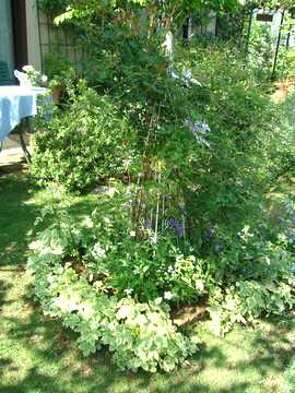 �G�S�|�f�B�E���@�V�F�[�h�K�[�f��