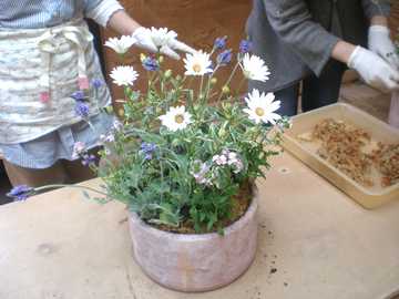 �񂹐A���@����