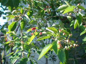 �W���[���x���[�@��