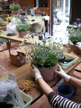 �񂹐A���@���Ύs