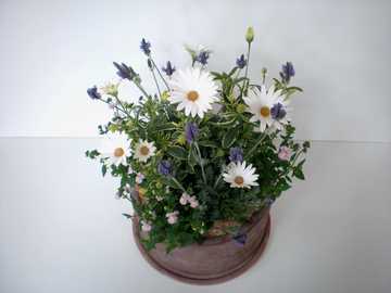 �񂹐A�������@