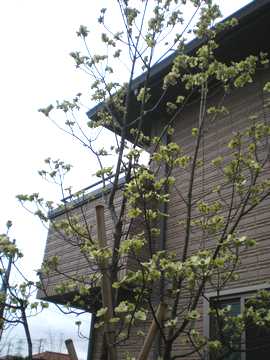 �n�i�~�Y�L�@���`