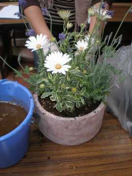 �񂹐A���@����