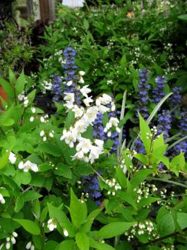 �q���E�c�M