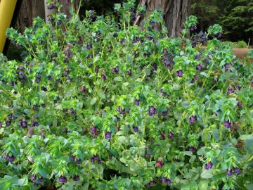 �Z�����Z