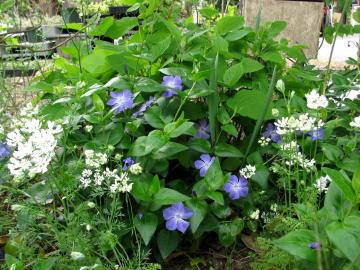 �I������