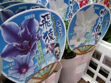 �O���[���X�N���[���@�A�T�K�I