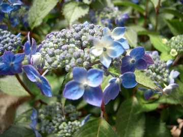 ���}�A�W�T�C�@���P