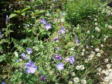 �Q���j�E���@�W�����\���Y�u���[