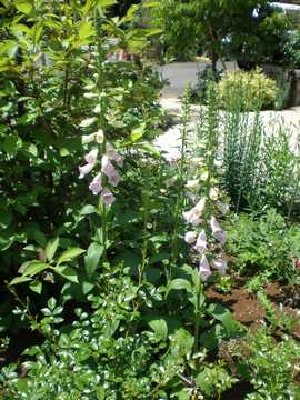 �W�M�^���X