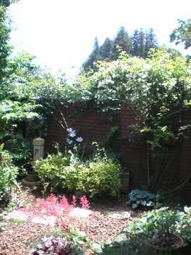 ���b�R�E�o���@�A��