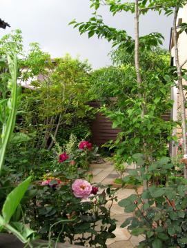 �I�[�v���K�[�f��